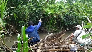 MANCING IKAN NILEM DISINI PENUH TANTANGAN IKANNYA  BABON SEKALI STRIKE HARUS WASPADA