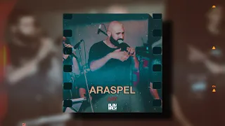 NAREK METS HAYQ - ARASPEL (LIVE)