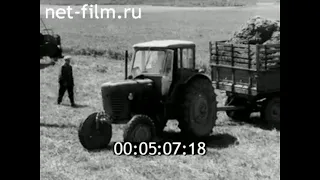 1971г. совхоз Каменский Ярцевский район Смоленская обл