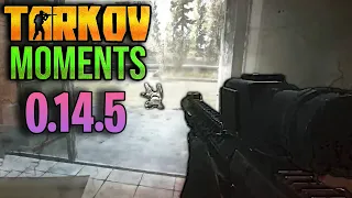 EFT Moments 0.14.5 ESCAPE FROM TARKOV | Highlights & Clips Ep.260