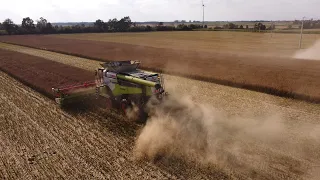 Koszenie Rzepaku 2020 | Testy Claas Lexion 8700 |  Rolbud