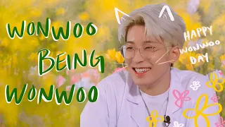 All the reasons for loving wonwoo | happy wonwoo day (*˘︶˘*).｡.:*♡