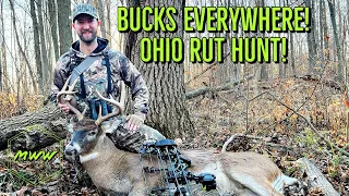 Hunting The Rut In Ohio (Covered Up In Bucks)
