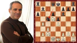 Amazing Chess Game: Garry Kasparov's Sveshnikov Sicilian Immortal game vs Shirov (Chessworld.net)