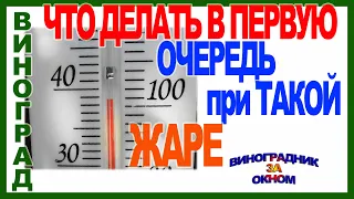 🍇 Сделайте это срочно на винограданике в 40 градусную жару. Иначе... Все остальные работы потом...