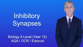 A Level Biology Revision (Year 13) "Inhibitory Synapses"