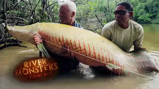 Hooking a Monsterous Arapaima On a Fly | ARAPAIMA | River Monsters