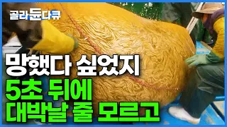 자포자기로 올린 그물 상태가 심상치 않다. 한국인한테 없으면 안 되는 물고기가 5초 뒤 쏟아진다│만선 까나리 잡이│액젓 만드는 과정│극한직업│#골라듄다큐