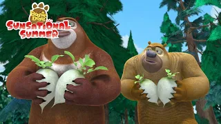 Boonie Bears: Sunsational Summer | EP 46 | Home-made Goodies (Part One) | Cartoon for kids