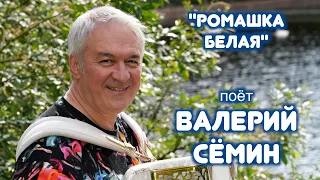 Песня "РОМАШКА БЕЛАЯ" ❤️ ❤️ ❤️ Поёт Валерий Сёмин ❤️