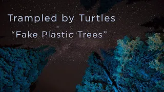 Trampled by Turtles - "Fake Plastic Trees" - (Radiohead cover) Official Video
