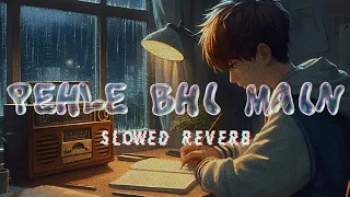 Pehle Bhi Main Slowed Reverb | Ranbir Kapoor, Tripti Dimri / ANIMAL MOVIE