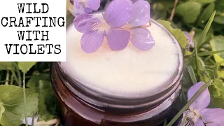 7 Things to Do with Wild Violets