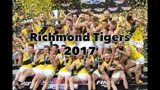 Richmond Tigers 2017