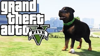 GTA 5 - Chop is Missing!!! (Rockstar Editor)