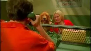 Pushing Daisies (clip) - Olive's pie with special filling