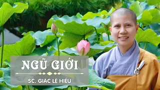 Thực tập năm điều đạo đức tại gia  - SC. Giác Lệ Hiếu