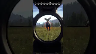 WAY OF THE HUNTER - Bow Moose Heart Shot