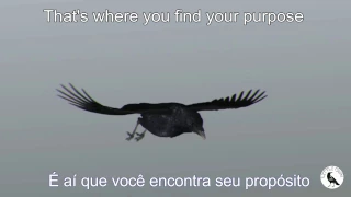 Dream On Dreamer - Don't Lose Your Heart (Lyrics/Tradução)