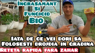 Iata de ce vei dori sa folosesti drojdia in gradina Secretul Bunicii