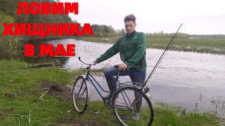 Спиннинг в мае, пробуем словить хищника по большой воде.