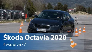 Škoda Octavia 2020 - Maniobra de esquiva y eslalon | Km77.com