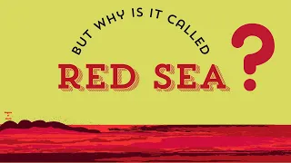 Why is it called the Red Sea ?