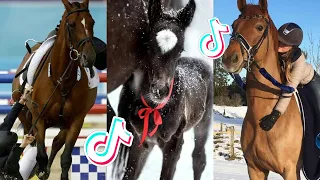 The Cutest HORSES Equestrian TikTok Compilation #82