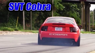 Mustangs leaving SVT Cobra Club ★ Parkway Ford Show 2015 (1 of 3)