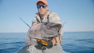 Bluefin Tuna on Spinning Gear | Hogy Lures