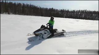 Soph And Sethro's Alaskan Winter Fun