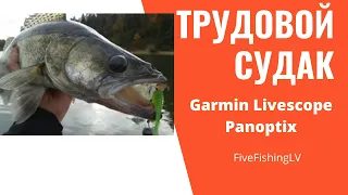 Трудовой судак. Ловля судака #garmin  #Livescope #Panoptix.