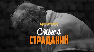 СМЫСЛ СТРАДАНИЙ  2009 - Вячеслав Бойнецкий