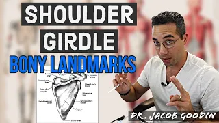 Shoulder Girdle Anatomy: Bony Landmarks