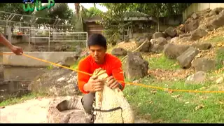 Doc Nielsen in action: rescuing an ailing 'bukarot' in Iligan City | Born to be Wild