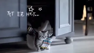 Реклама Whiskas для котят (2007-2009)
