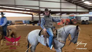 Trevor Brazile Talks About Teaching A Head Horse To Face