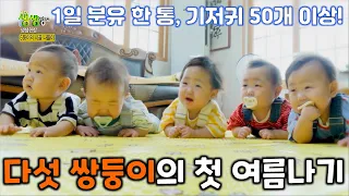 다섯 쌍둥이, 난생 처음 여름나기 | KBS 방송