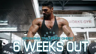 Prep Series Ep5: 6 weeks out..