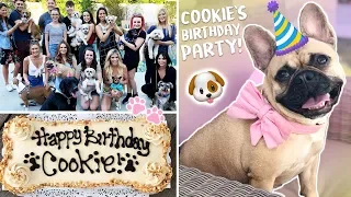 My Dog's EPIC Birthday Party!!!!