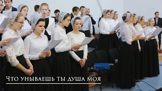 Псалом "Что унываешь ты душа моя"