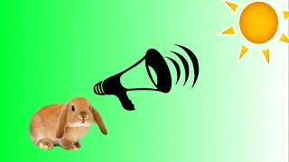 Как кричит кролик, звук кролик ( rabbit scream) (أرنب يصرخ)