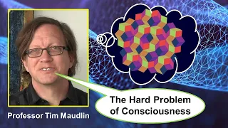 Tim Maudlin on the Hard Problem of Consciousness