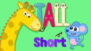 Tall and short song for kindergarten ! kids nursery rhymes with Monster ABC