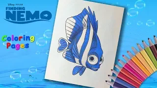 Finding Nemo Coloring Pages. How to coloring Deb. Coloring book for kids.