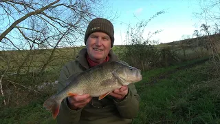 Big Perch fishing November 2022 Part three