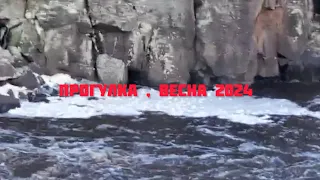 Прогулка , Весна 2024. Walk spring 2024