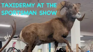 Taxidermy at The Sportsman Show