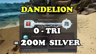 BDO | Dandelion +0 to TRI Costing ONLY 200 Million Silver
