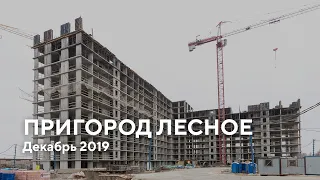 ЖК "Пригород Лесное" / Декабрь 2019